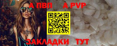 a pvp Камышлов