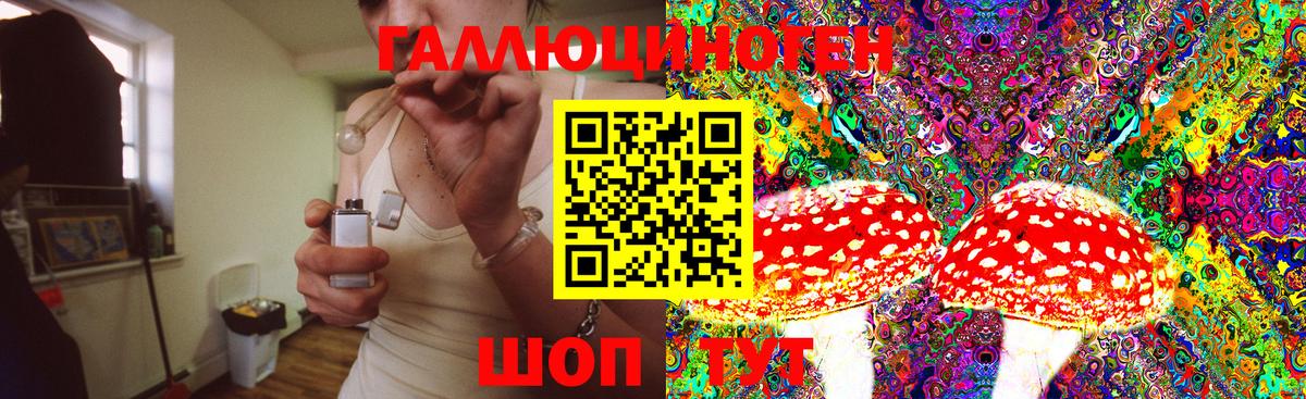 Псилоцибиновые грибы мицелий Кировск